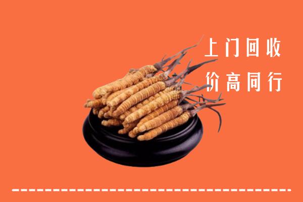 高价求购：贵阳市云岩回收散虫草