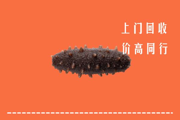 高价求购：贵阳市云岩回收海参