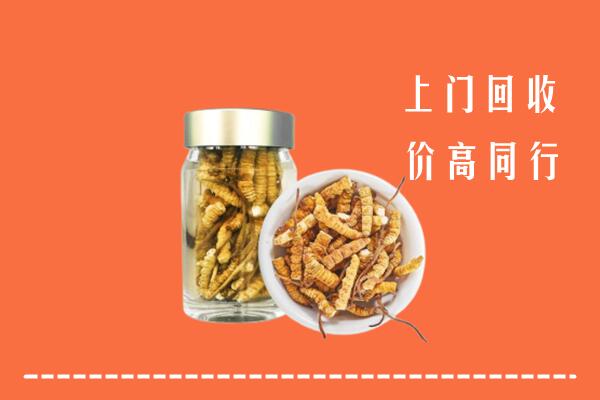 贵阳市云岩回收冬虫夏草
