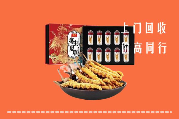 收购行情：贵阳市云岩回收虫草
